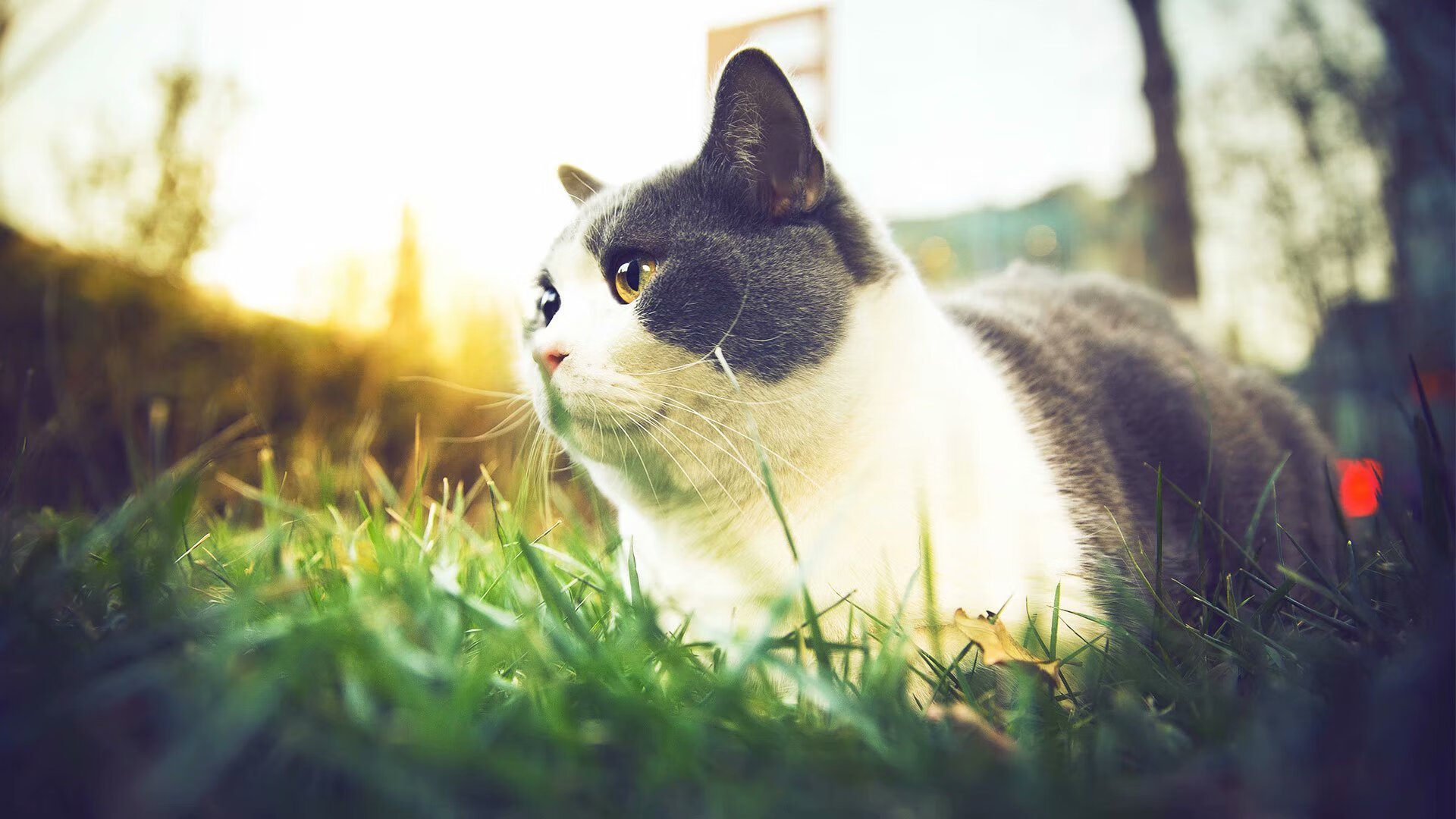 kaiyun登录入口-【虚拟青训】利用VR模拟比赛环境，培养未来巨星，vr模拟教学