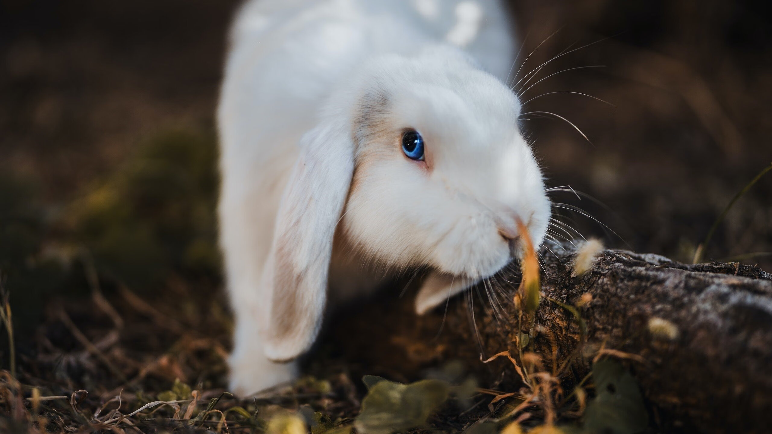 从小组赛到决赛:每一场都是经典,小组赛一共几轮