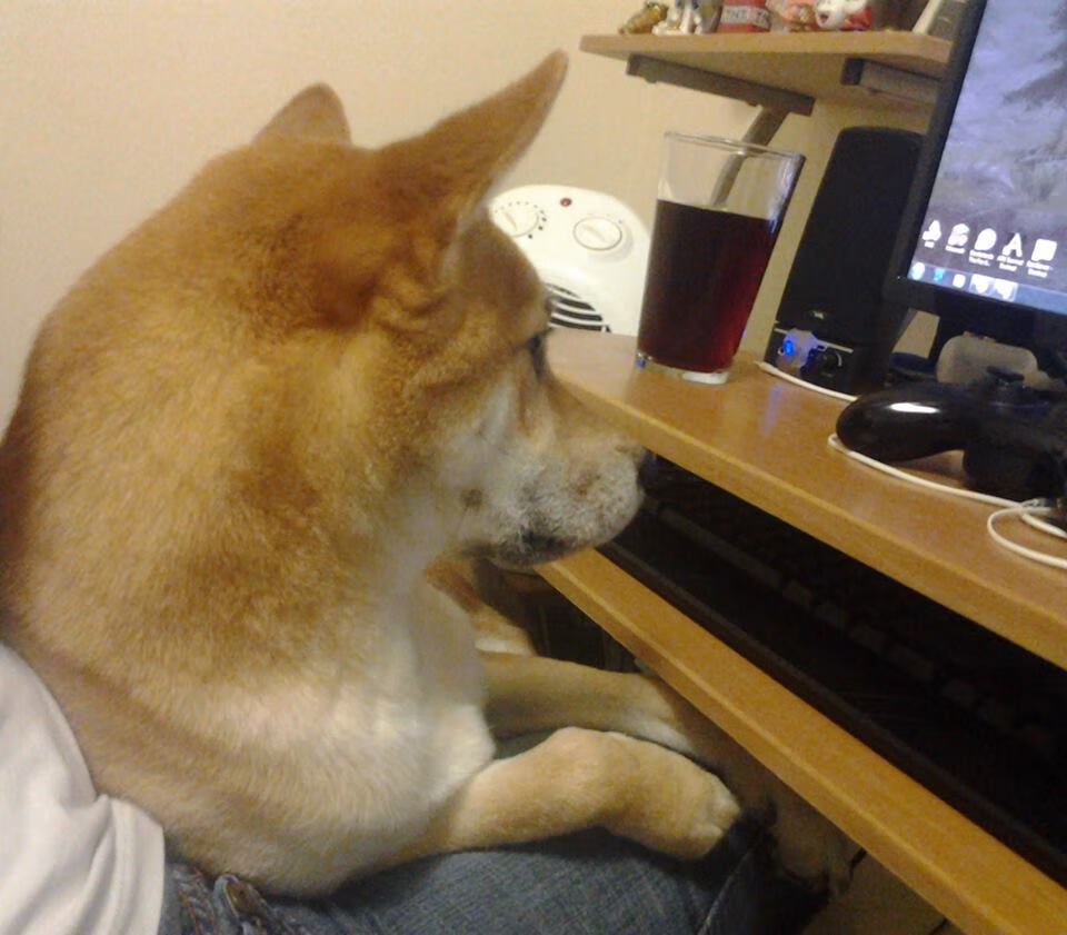 意甲赛季精彩片段频繁出现,明星球员表现出色,意甲全场