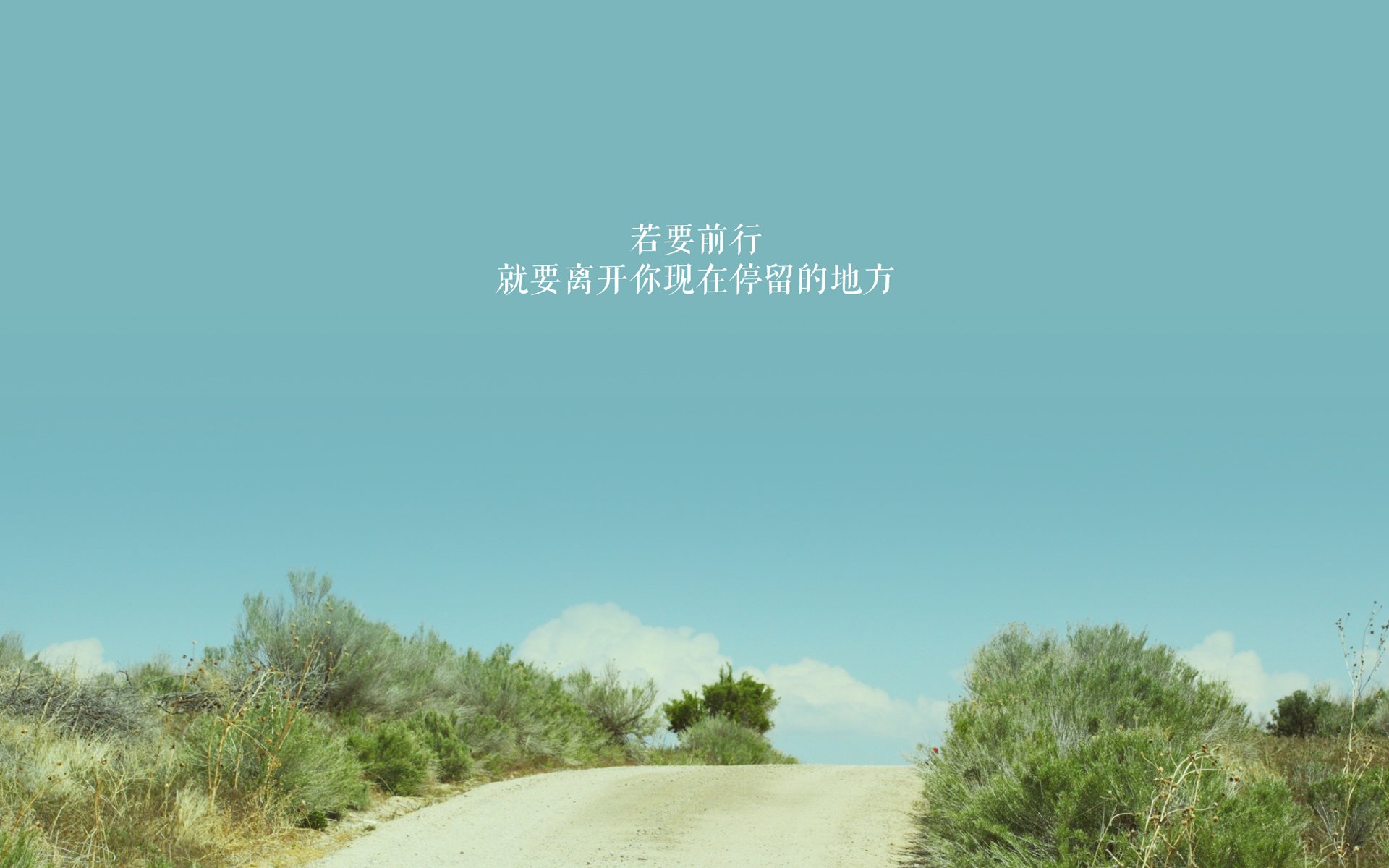 新锐裁判员在比赛中表现优异,未来可期,裁判组纳新