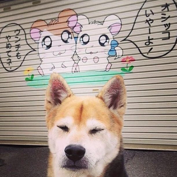 新秀崭露头角:未来联盟的潜力股大PK,一张图看懂未来联盟第一人, 现役第一人表示不服