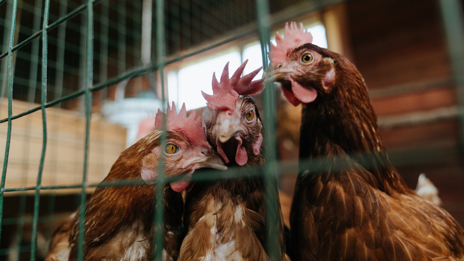 开云中国-特色乡村陶艺运动节，文化体验与运动结合的趣味盛会，陶艺乡村是哪里