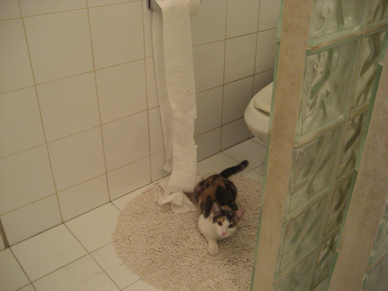 特色天空浮空舞蹈,空中运动的视觉盛宴,360借条平台是合法的吗