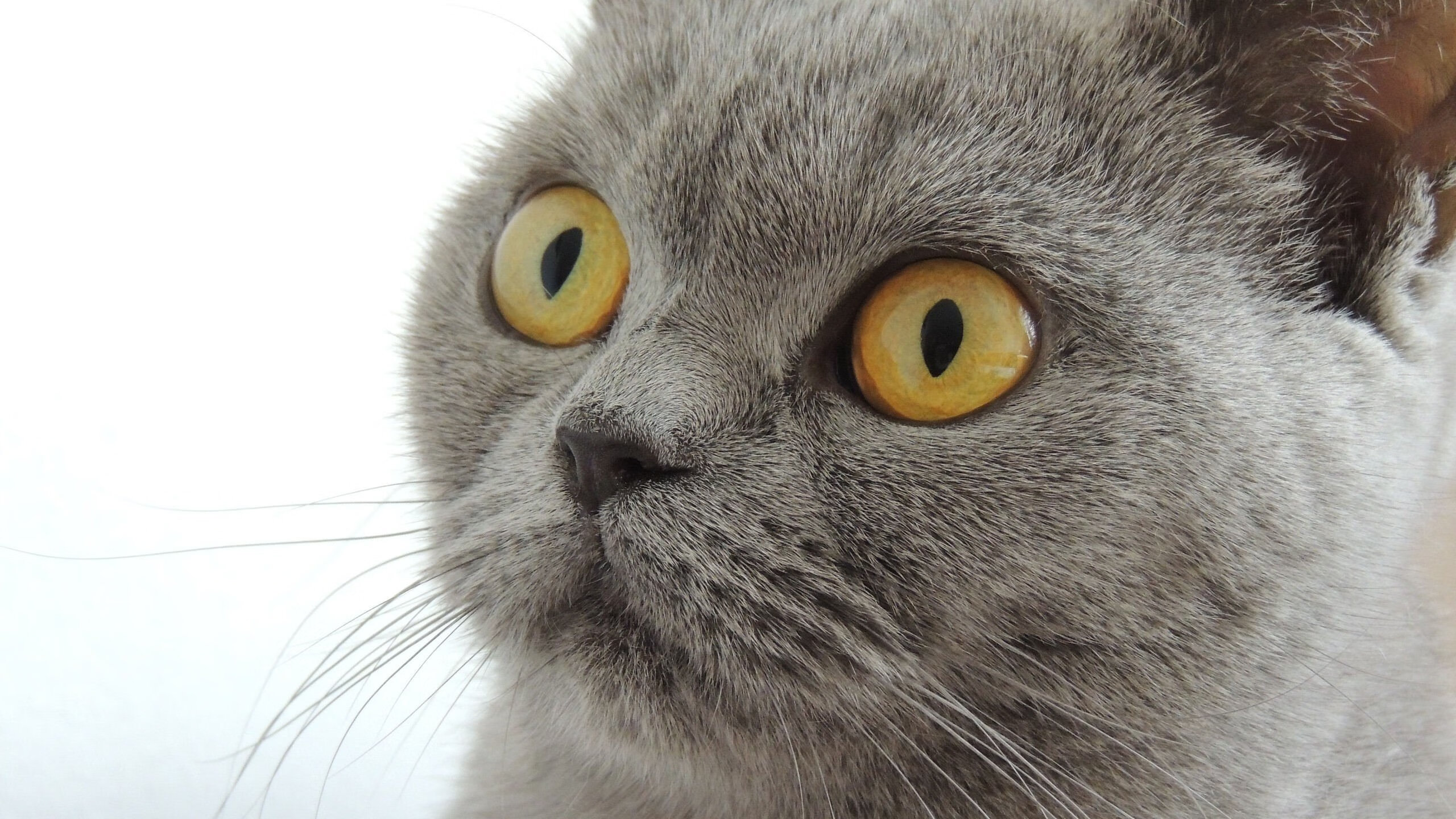 电竞赛事奖金创新高,职业选手收入稳步增长,电竞比赛奖金选手排行