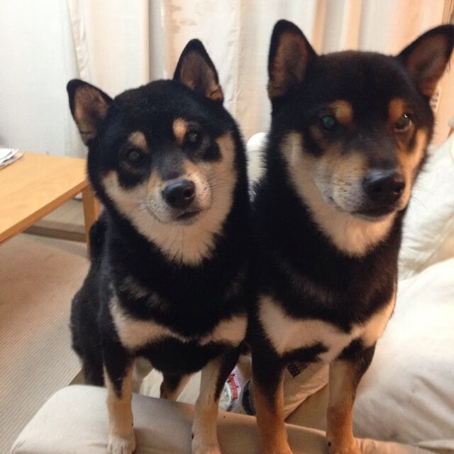 电竞主题美食节,满足你的味蕾!,电竞伙食