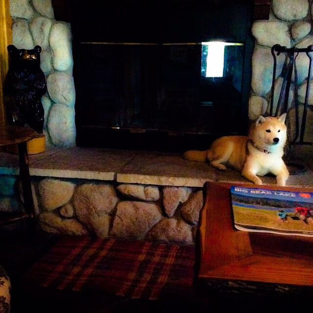 开云·体育官网APP下载-篮球运动康复体系日益完善，篮球运动康复体系日益完善的原因