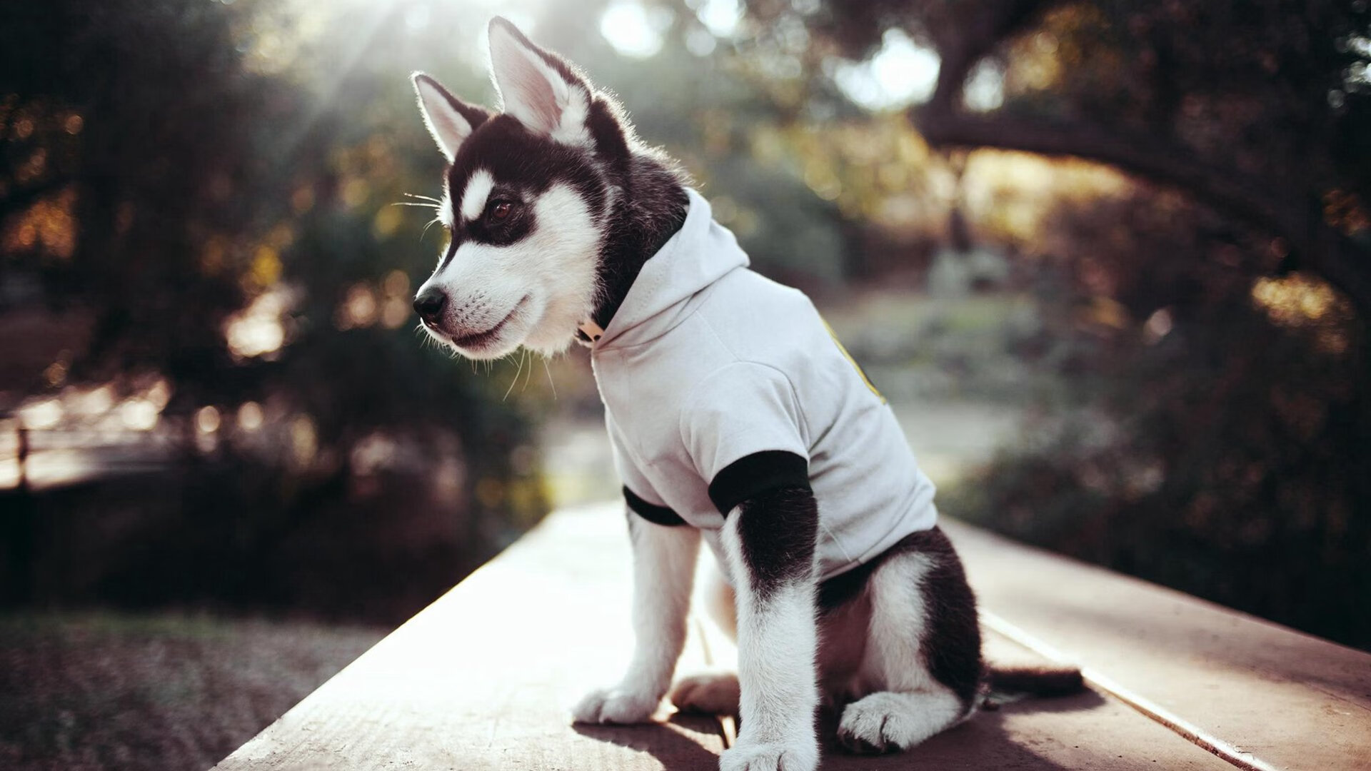 IG战队选手荣获“优秀体育道德风尚奖”