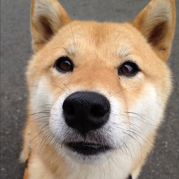 开云中国大陆-亚洲足球强队争相挑战，赛场气氛燃烧，亚洲 足球