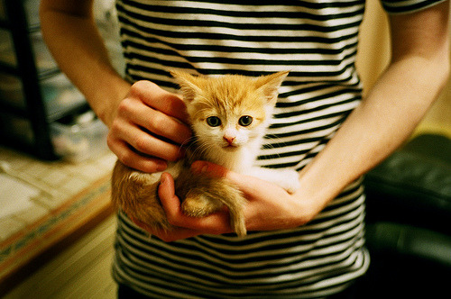 公牛再次失利拉文效率低迷,公牛老大是拉文吗